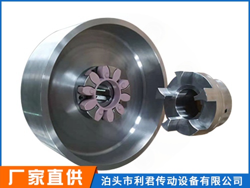 LXZ_XLL_帶制動輪星型聯軸器