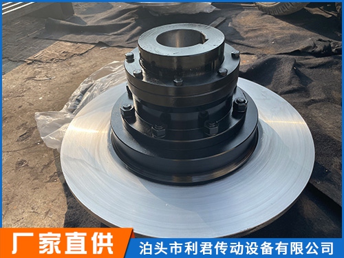 WGP型帶制動盤鼓型齒式聯軸器-